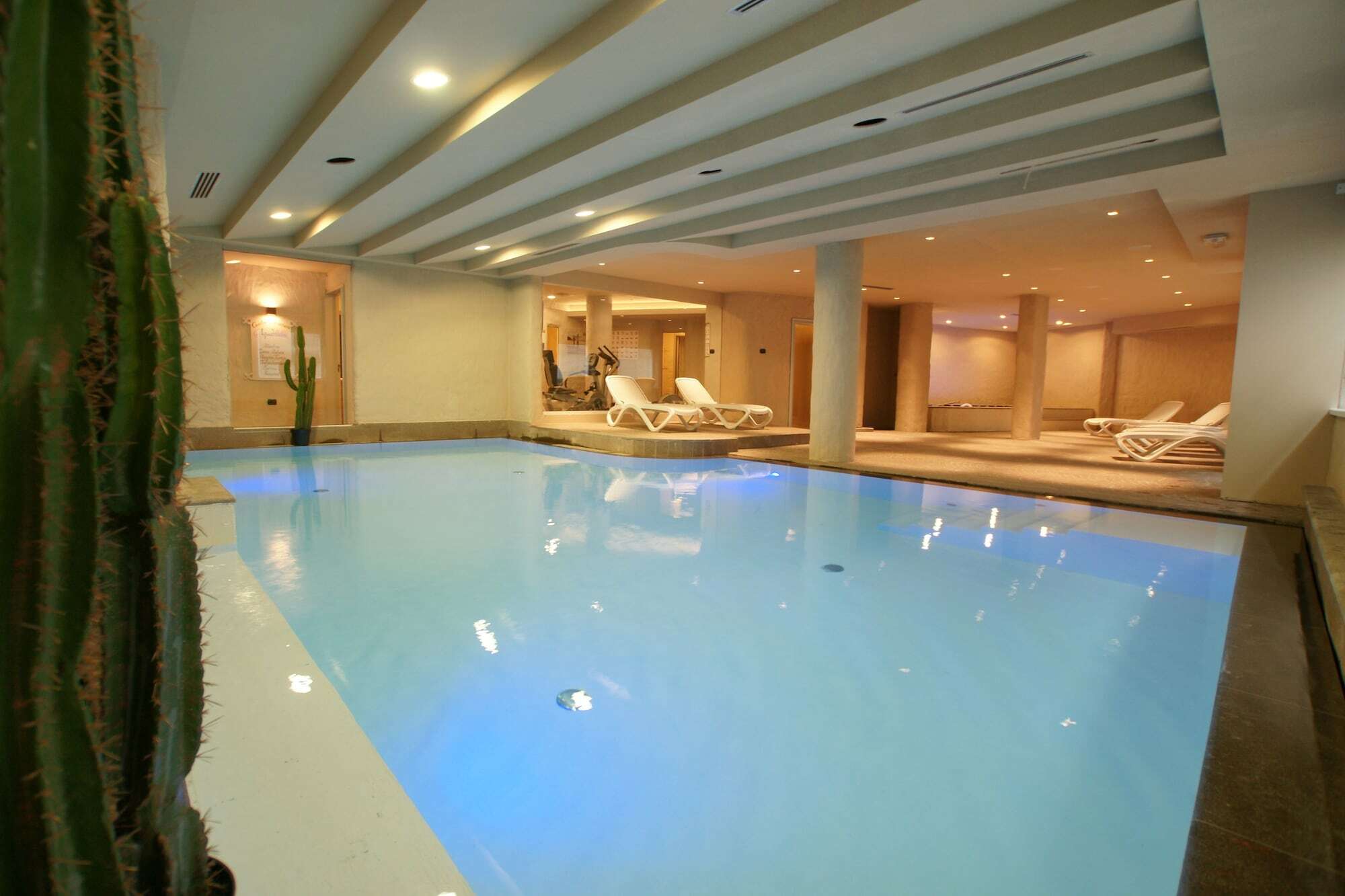 Adler Clubresidence Moena Dış mekan fotoğraf